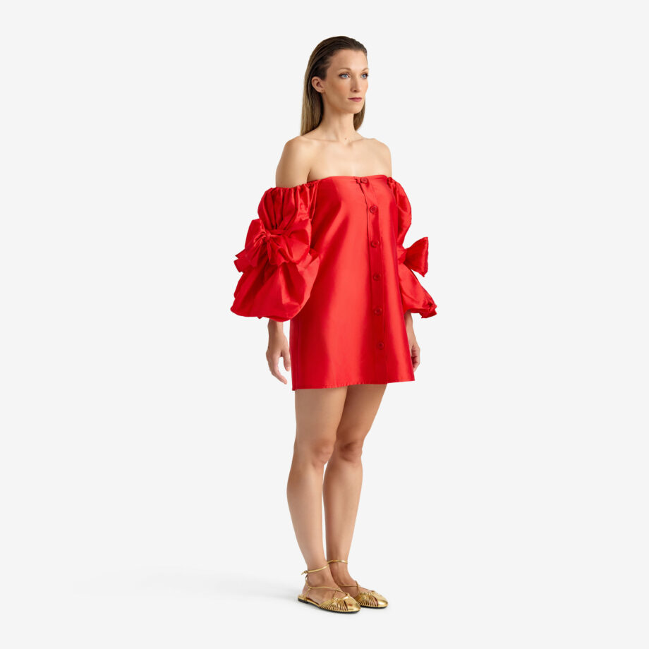 Butterfly Dress